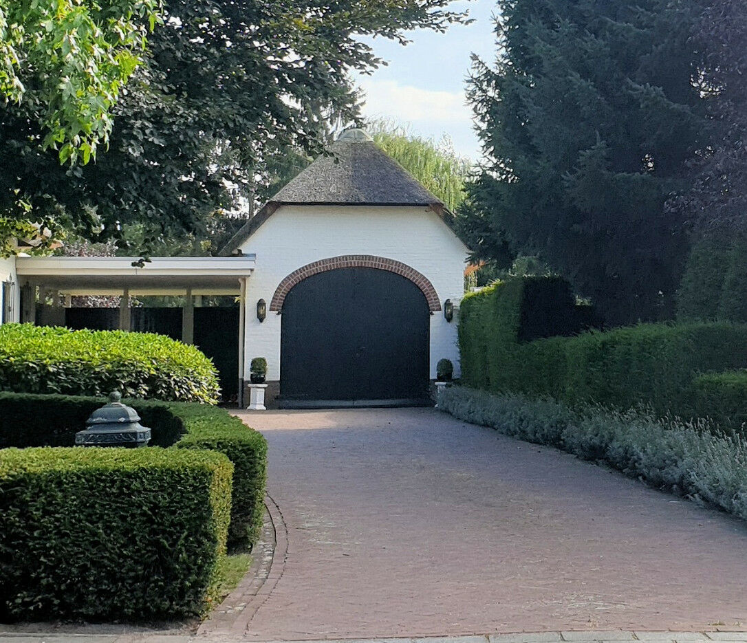 Taxus baccata Taxus baccata